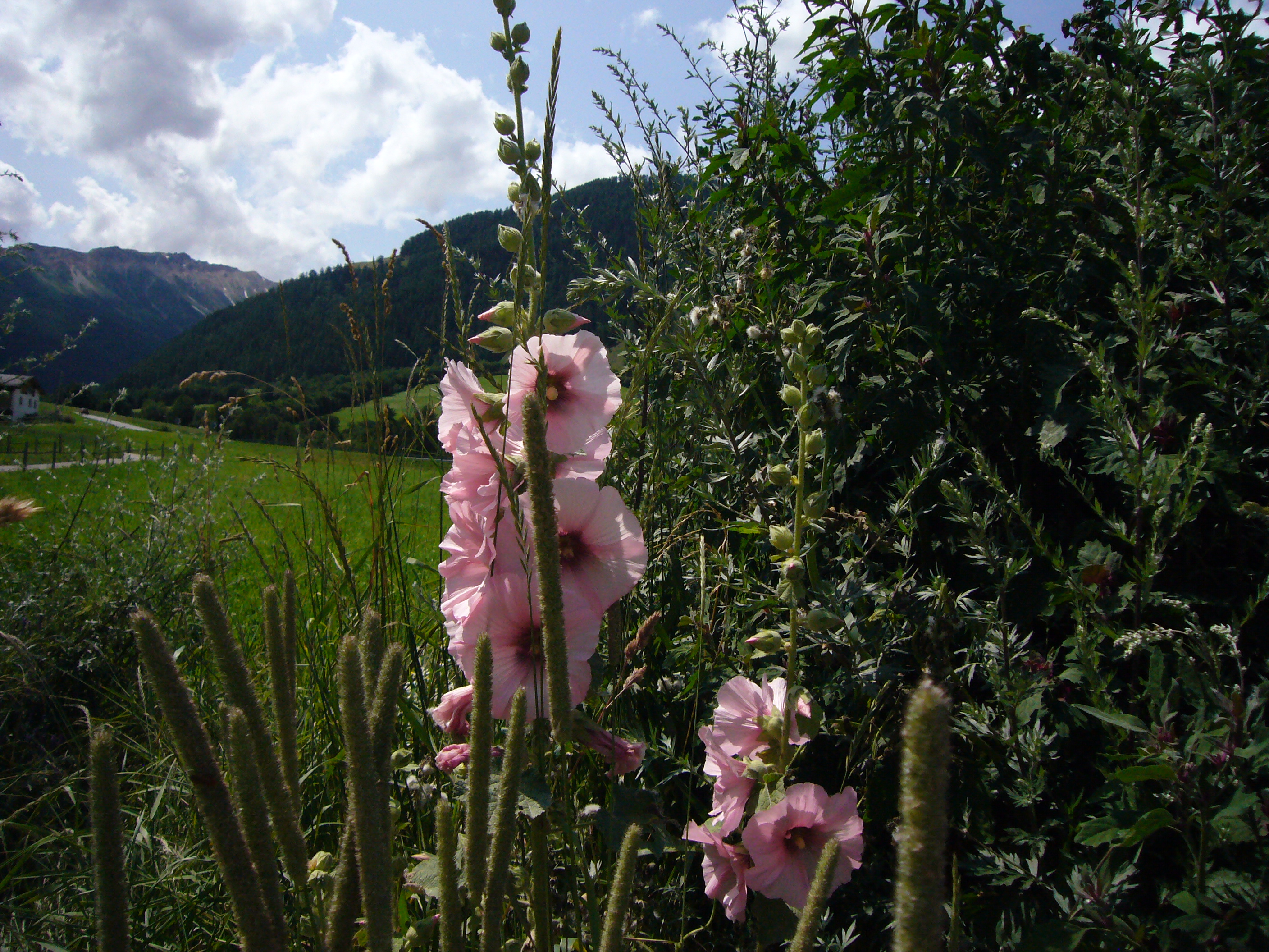 Foto 9